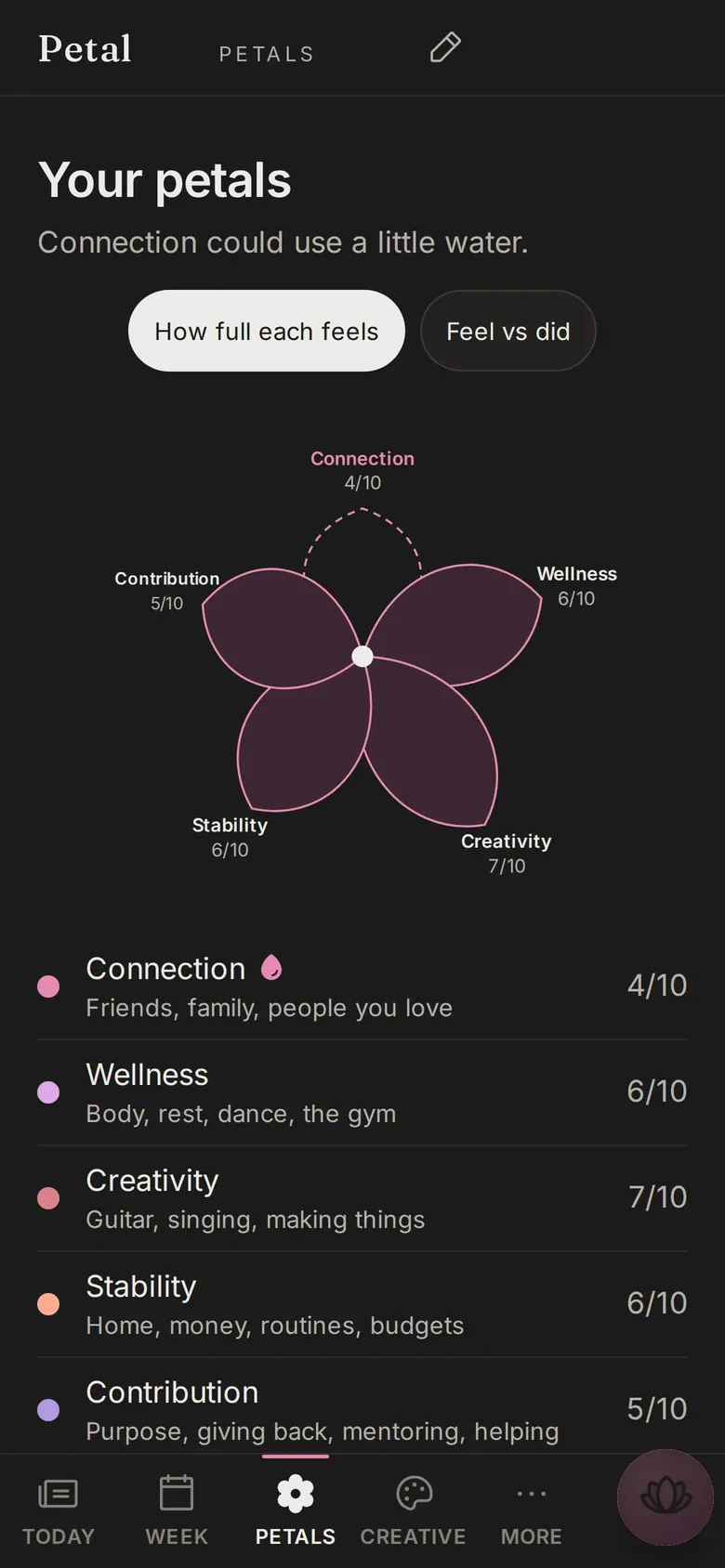 Your petals in Petal: Connection, Wellness, Creativity, Stability and Contribution, and a kind note that Connection could use a little water